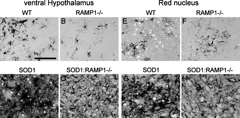 Fig. 4