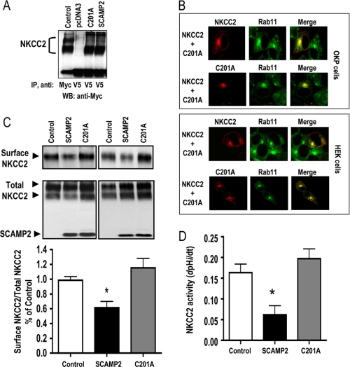 FIGURE 10.