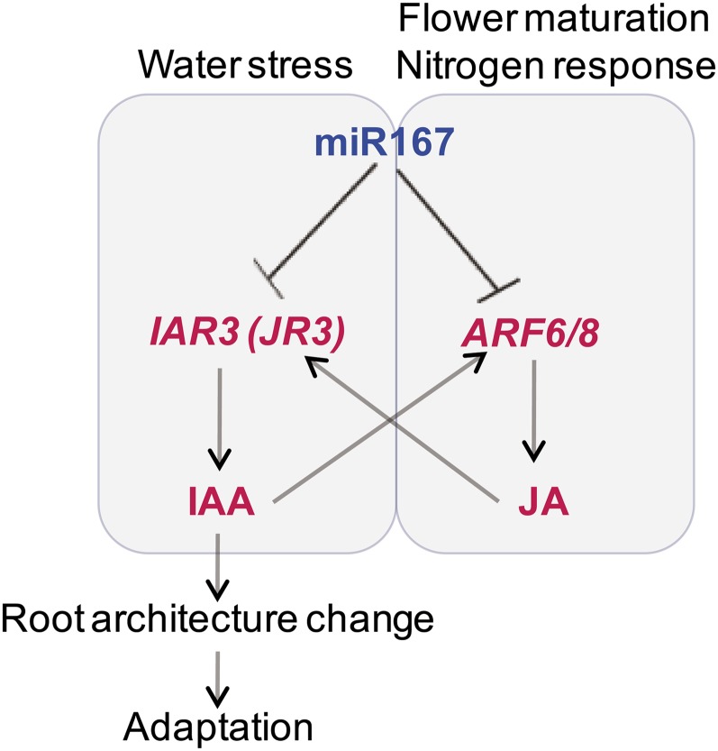 Figure 6.