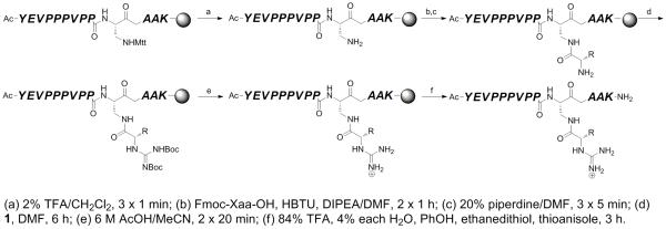 Scheme 4