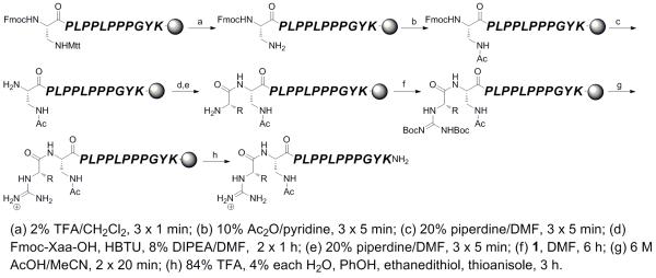 Scheme 3