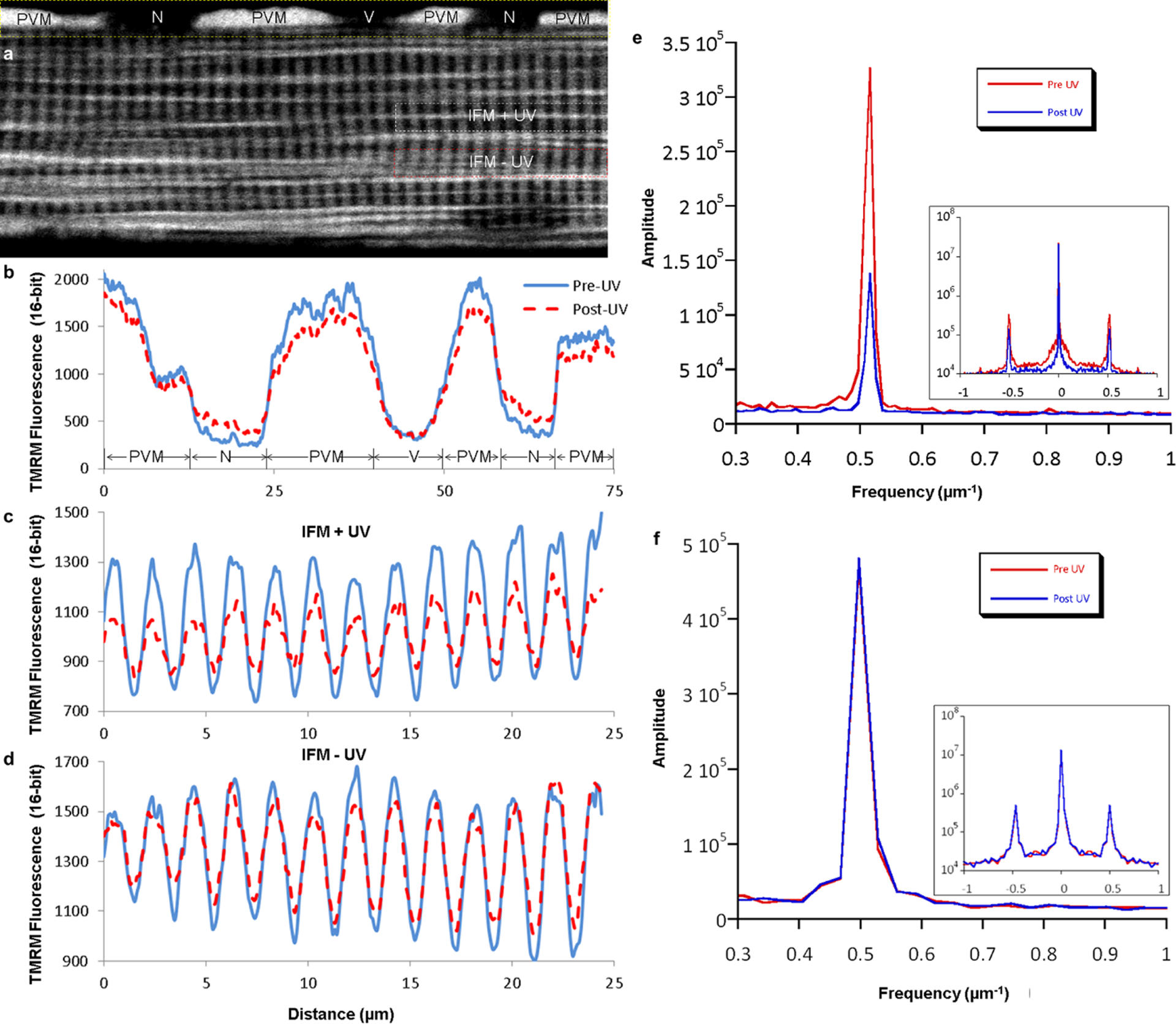 Extended Data Figure 7 |