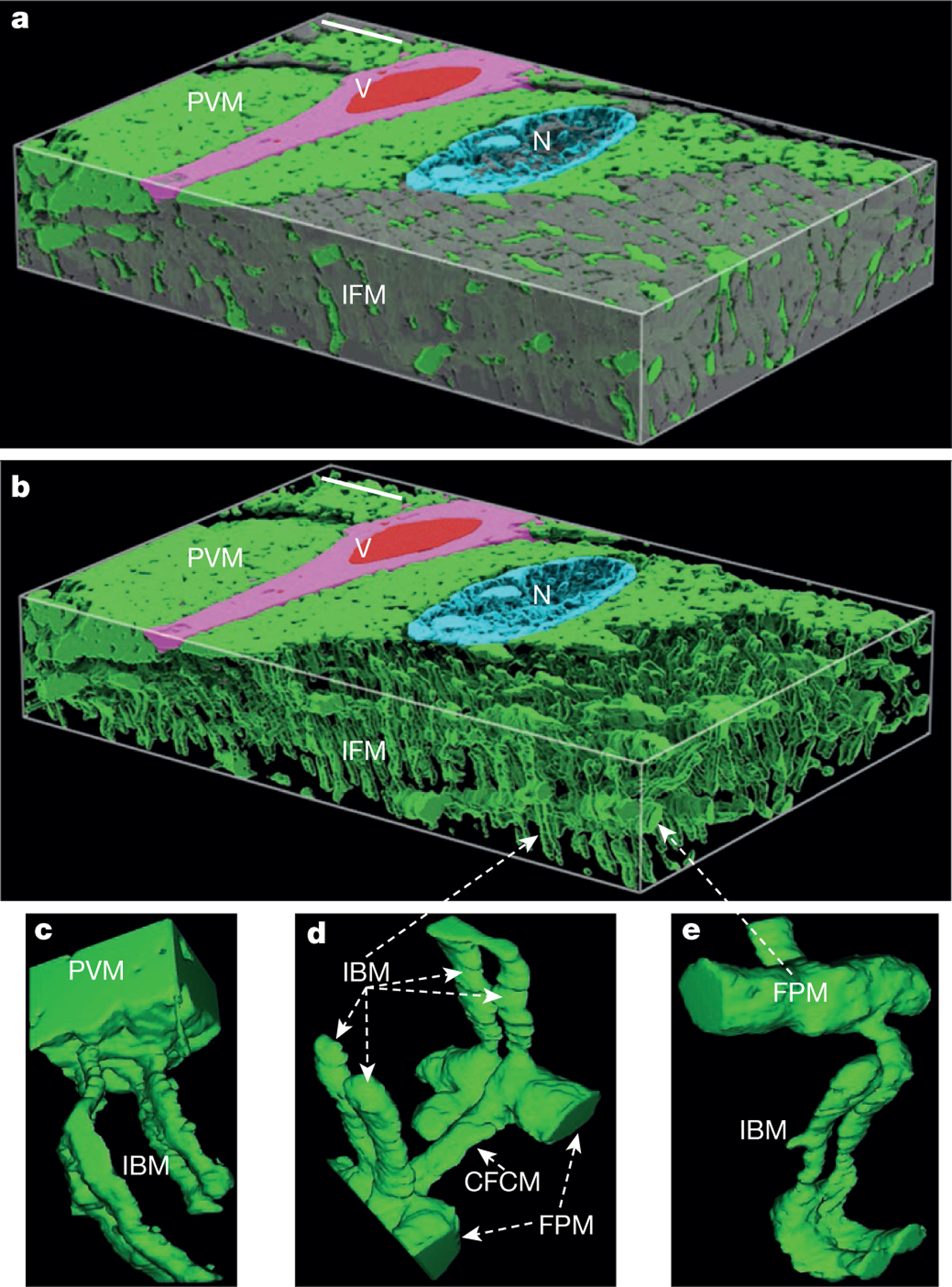 Figure 1 |