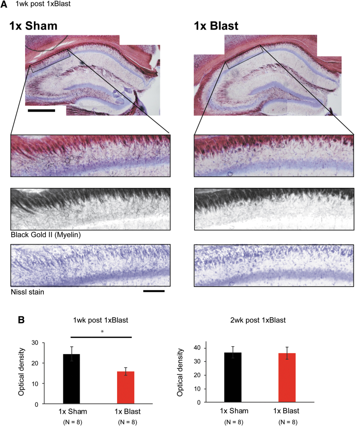 FIG. 9.