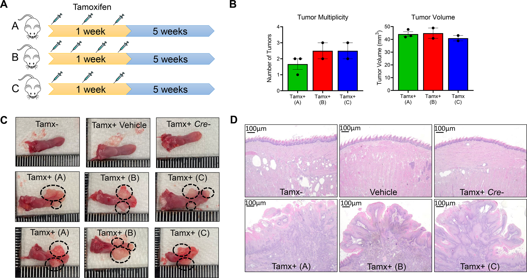 Figure 2: