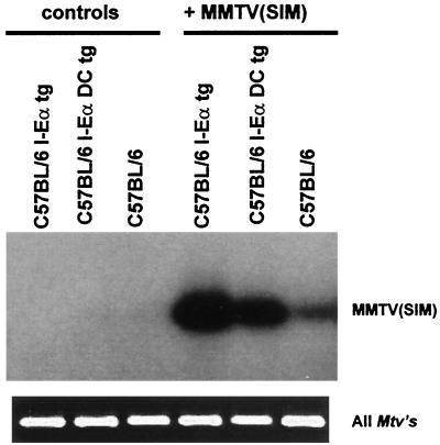 FIG. 6