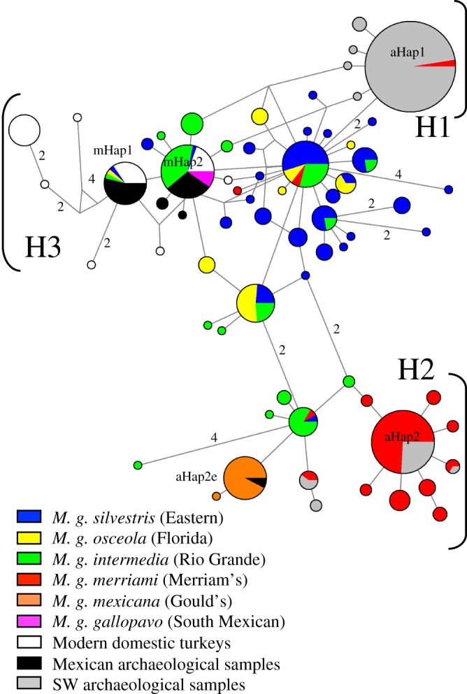 Figure 2.