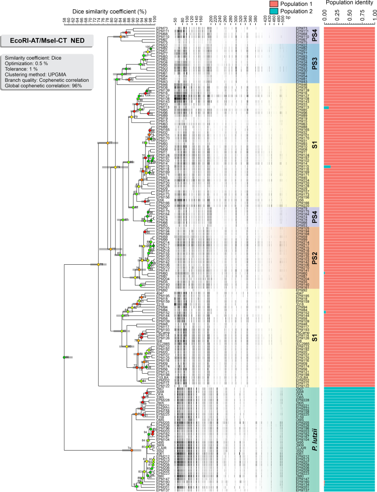 Fig. 4