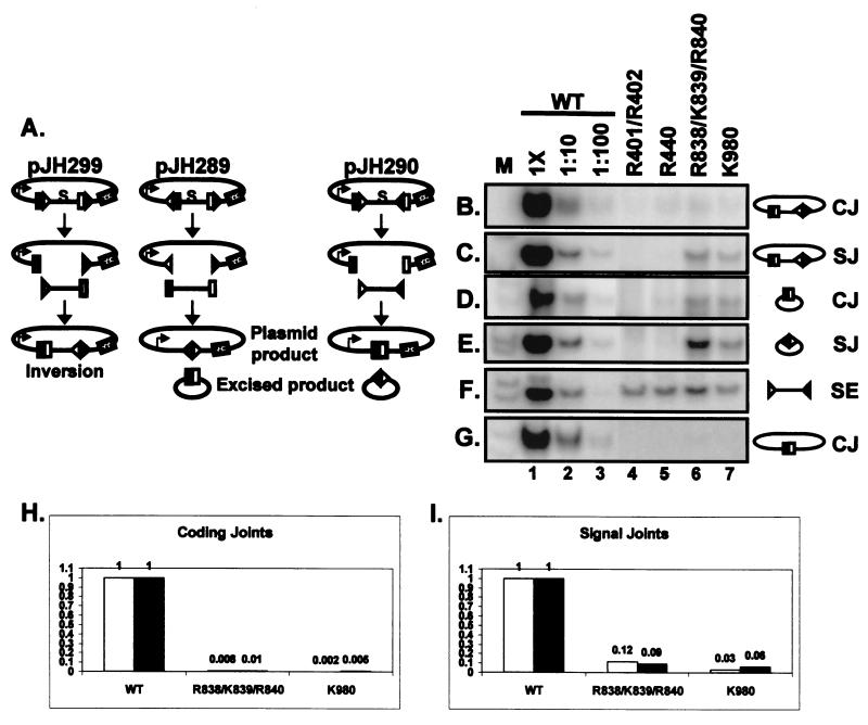 FIG. 6.