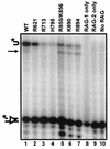 FIG. 5.