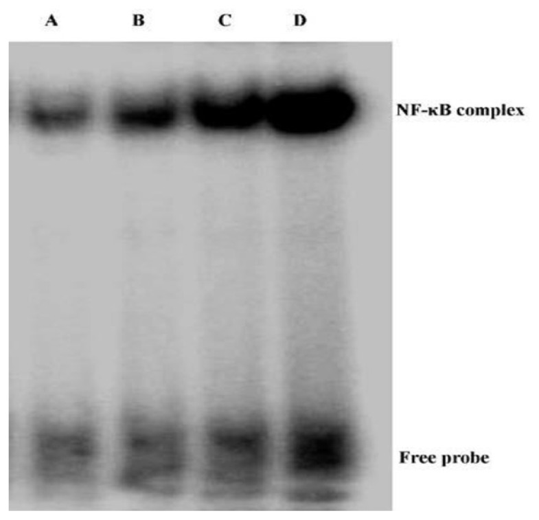 Figure 7.