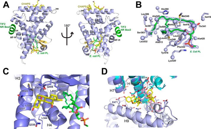 FIGURE 2.