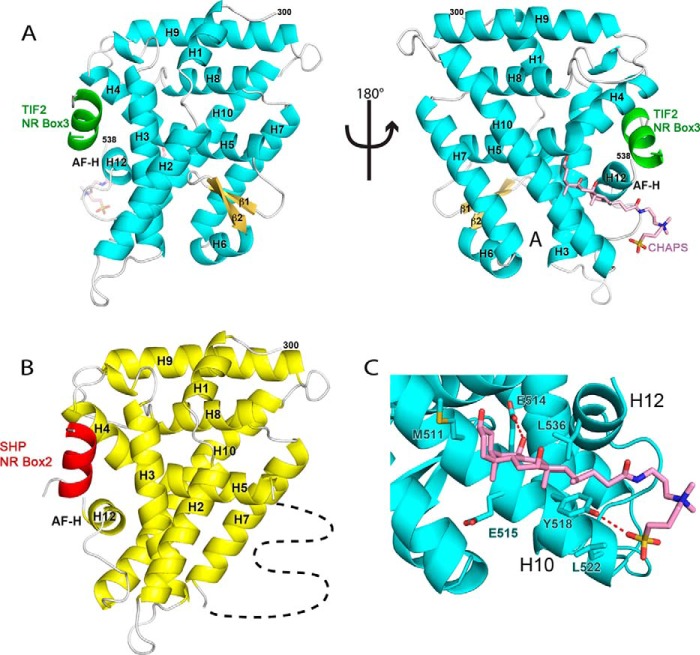 FIGURE 1.