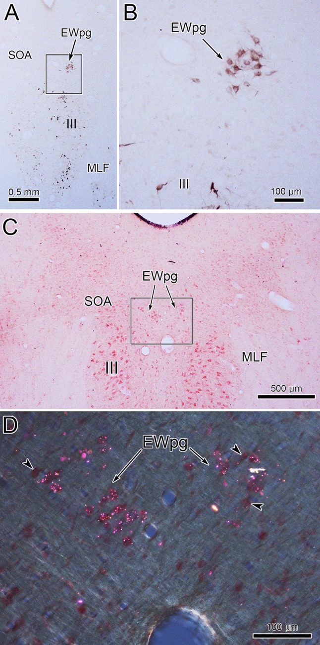 Fig. 3