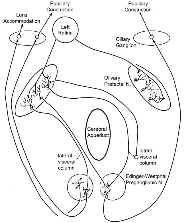 Fig. 16