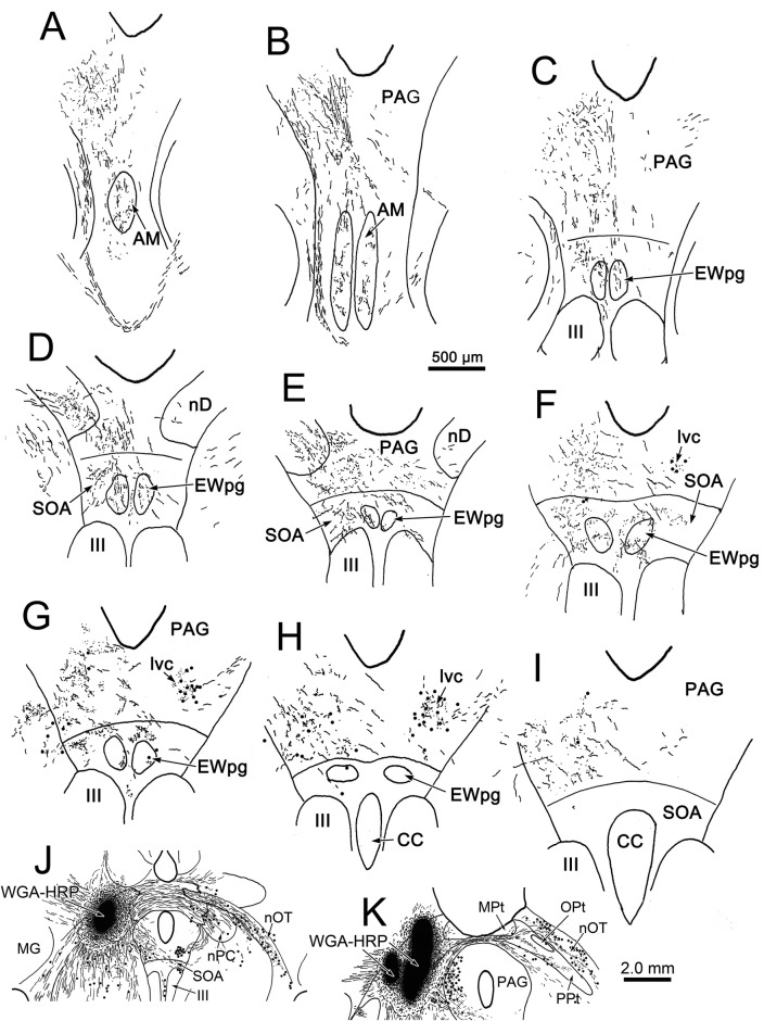 Fig. 5