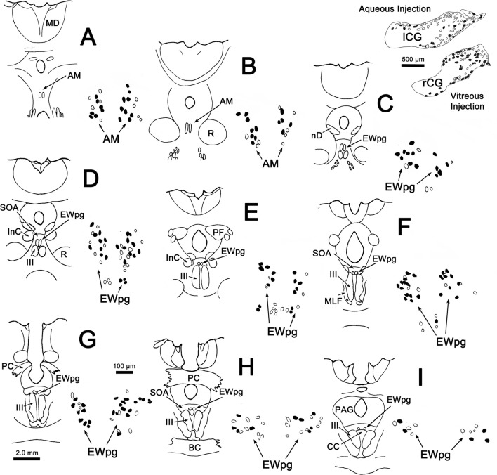 Fig. 4