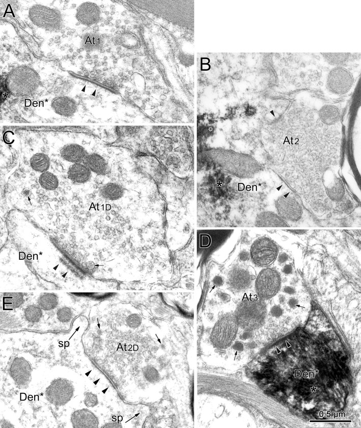 Fig. 11