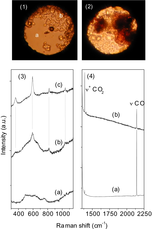 Fig. 5.