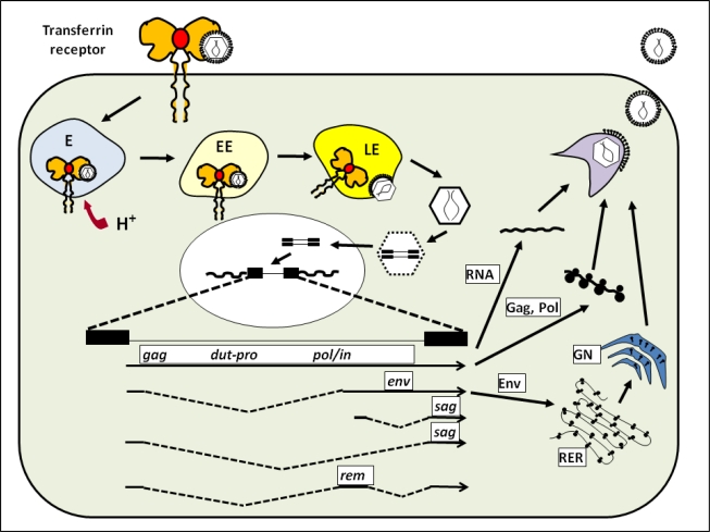 Figure 1.