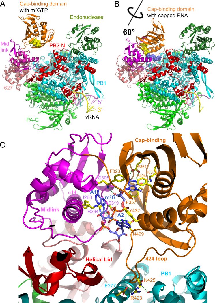 Figure 1.