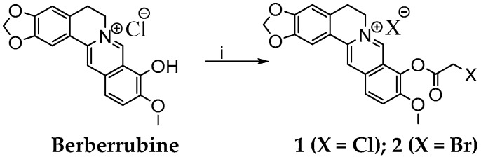 Scheme 2