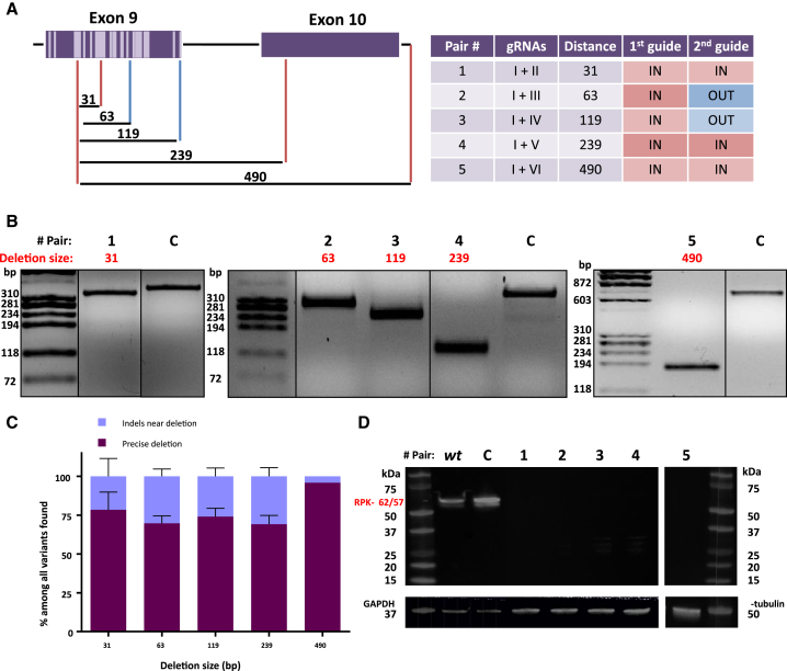 Figure 2