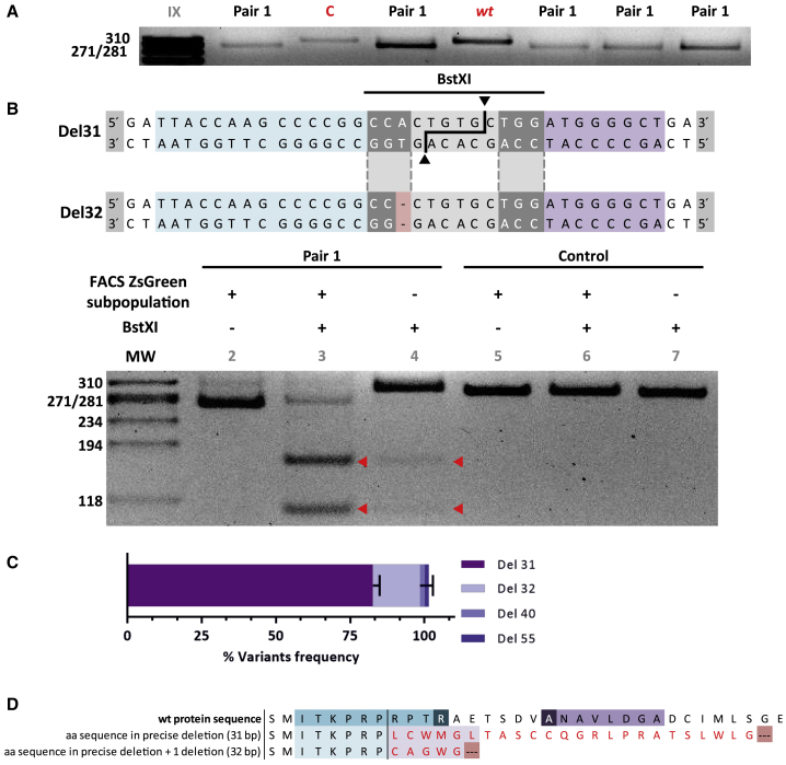 Figure 4