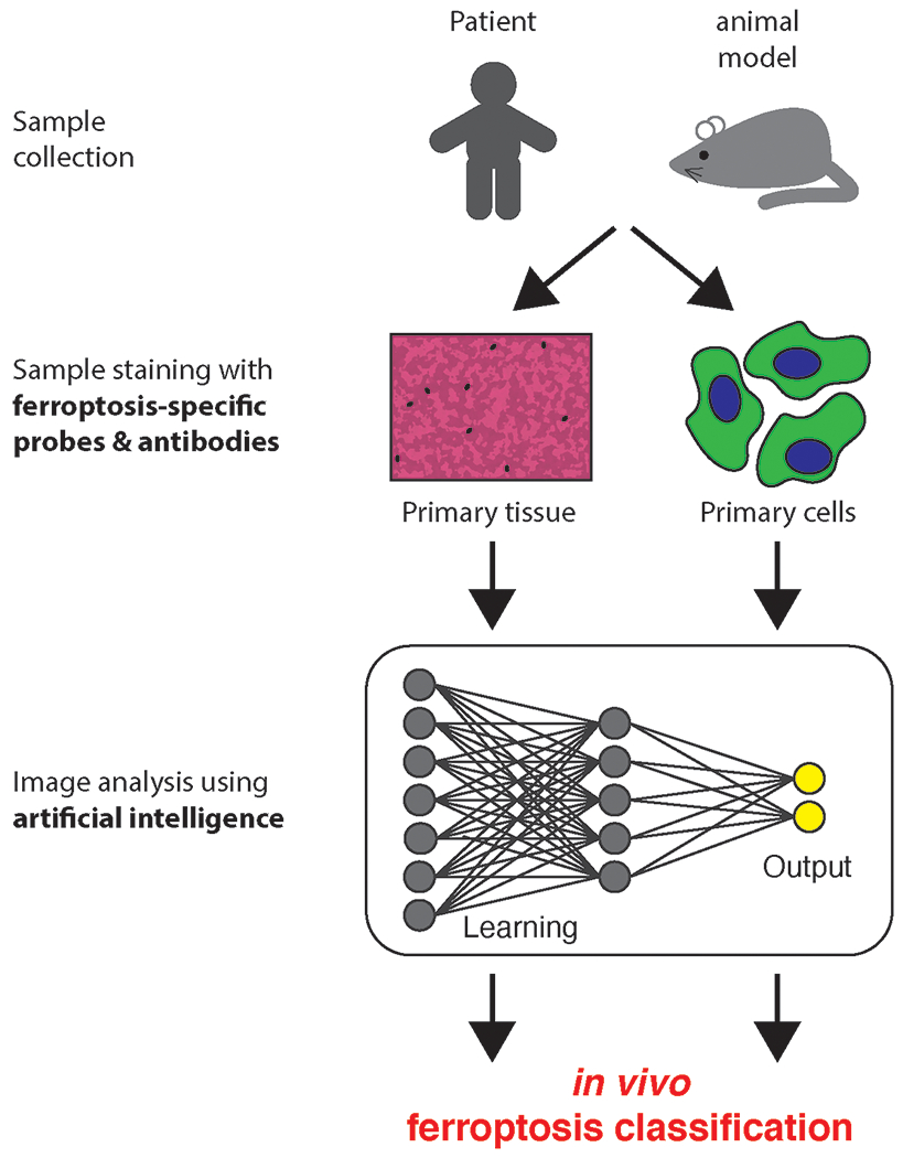 Figure 2: