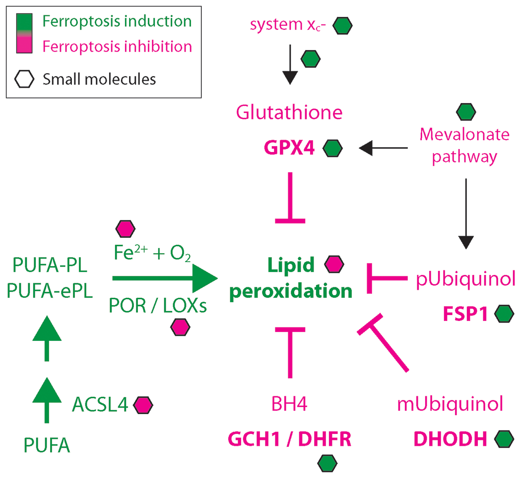 Figure 1: