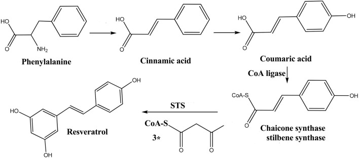 FIGURE 9