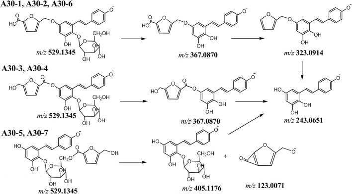 FIGURE 6