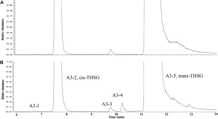 FIGURE 3