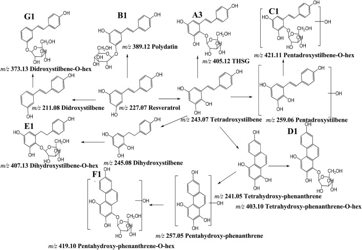 FIGURE 10