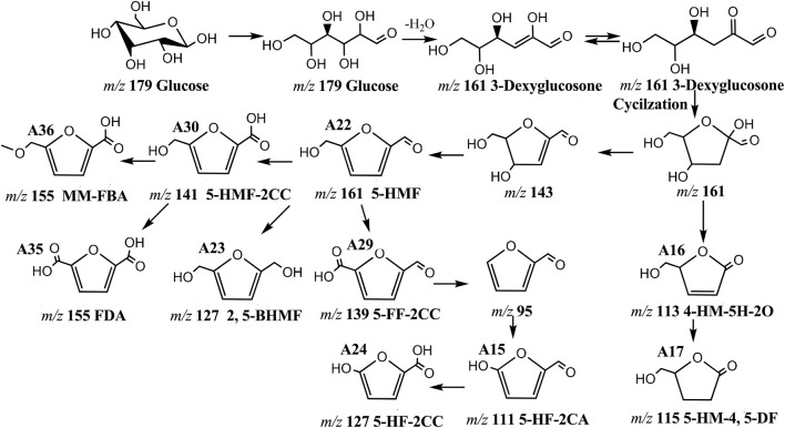 FIGURE 11