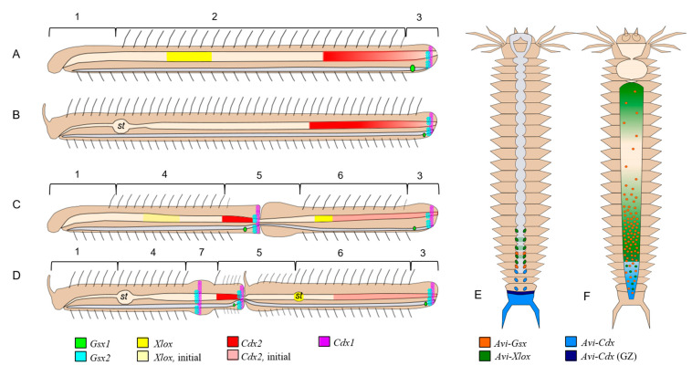 Figure 12