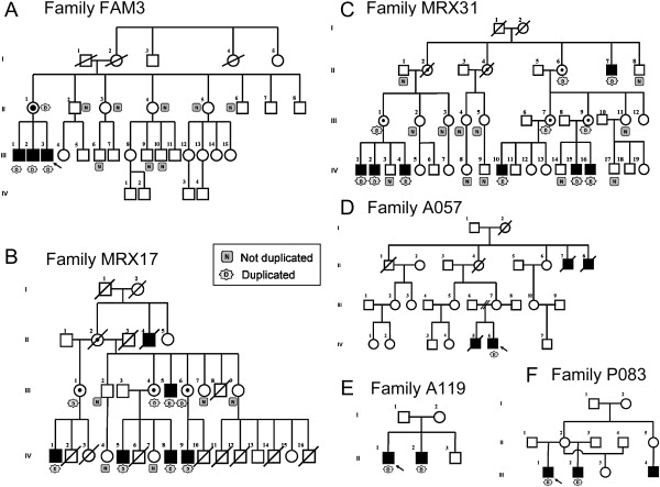 Figure 2