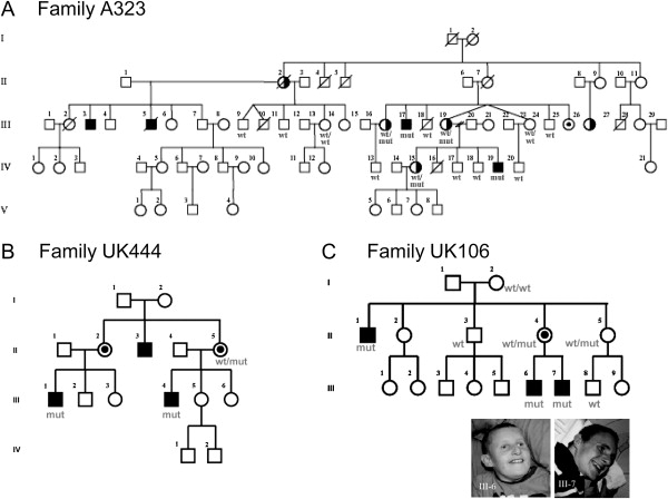 Figure 3