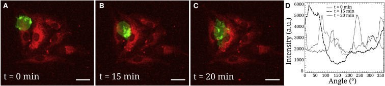 Figure 6