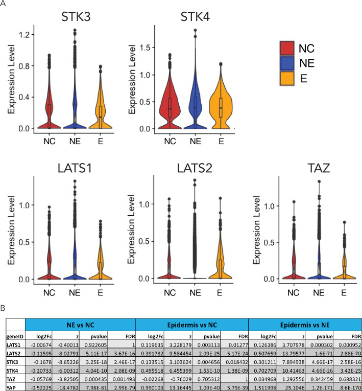 Figure 5—figure supplement 3.