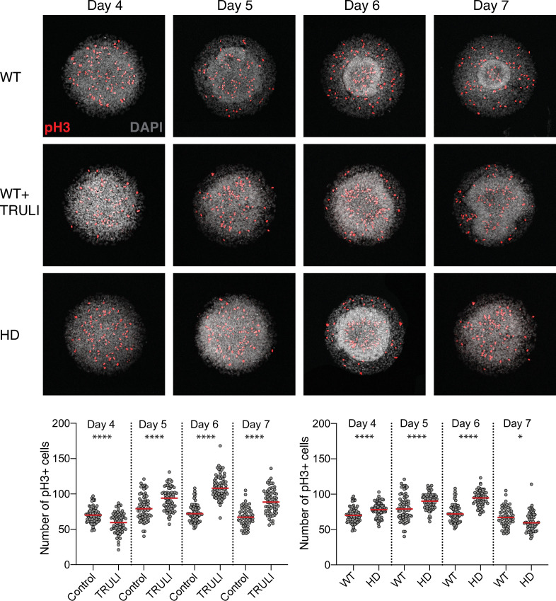 Figure 4—figure supplement 3.