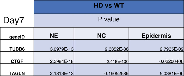 Figure 5—figure supplement 7.