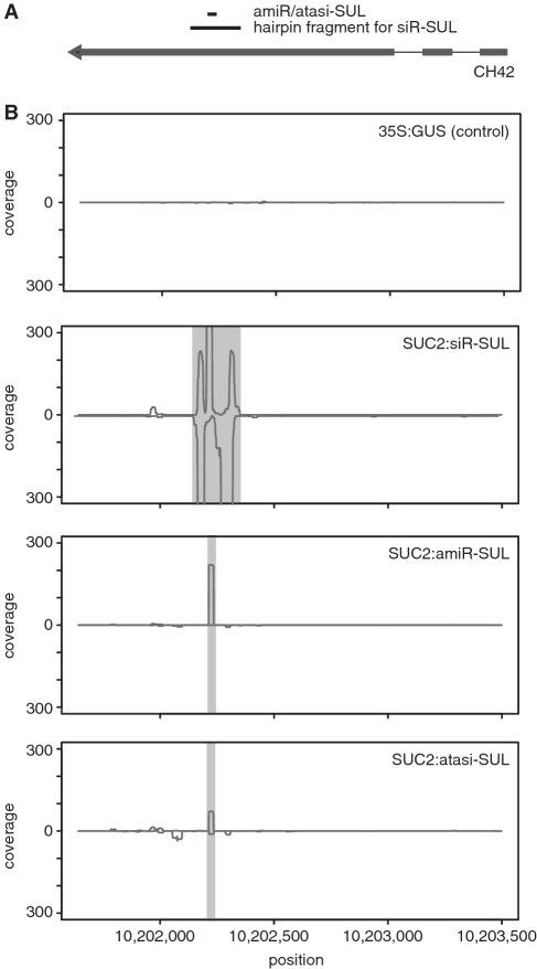 Figure 5.