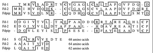 FIG. 5