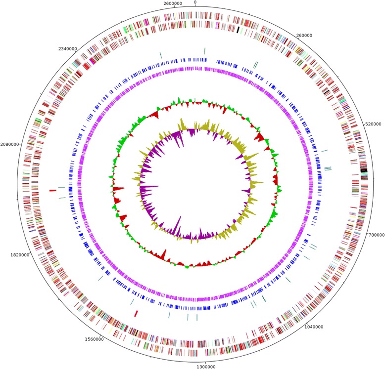 Fig. 3