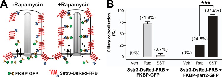 FIG 6