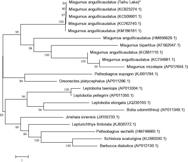 Figure 1.