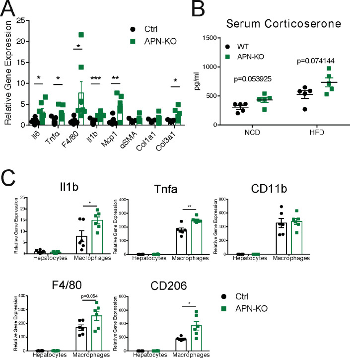 Figure 4—figure supplement 1.