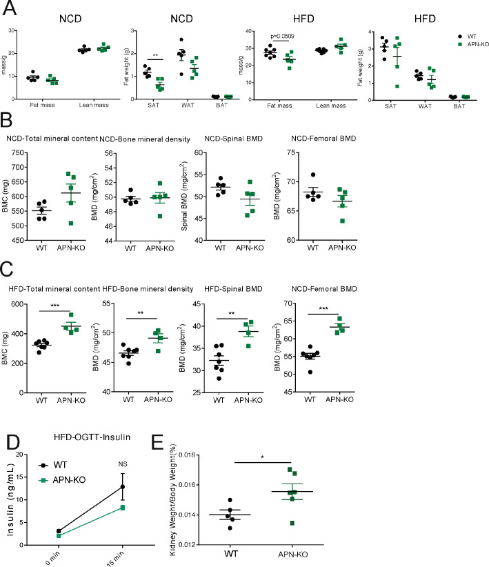 Figure 2—figure supplement 1.