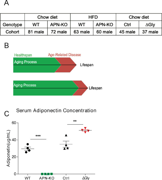 Figure 1—figure supplement 1.